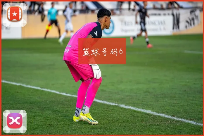 篮球号码6