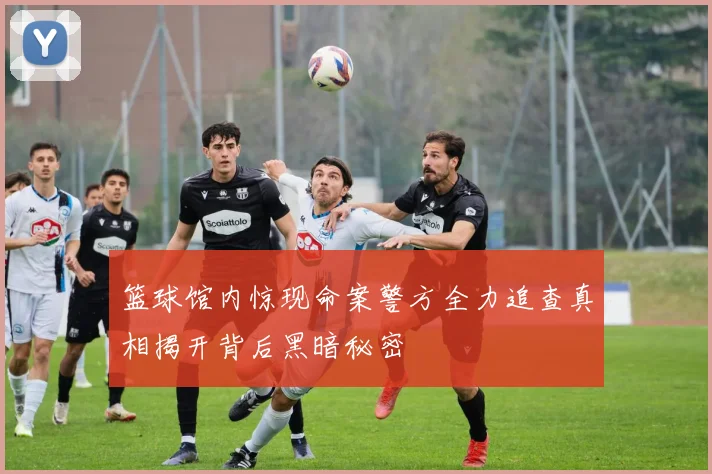篮球馆内惊现命案警方全力追查真相揭开背后黑暗秘密